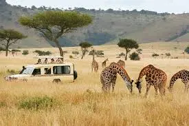 Kenya