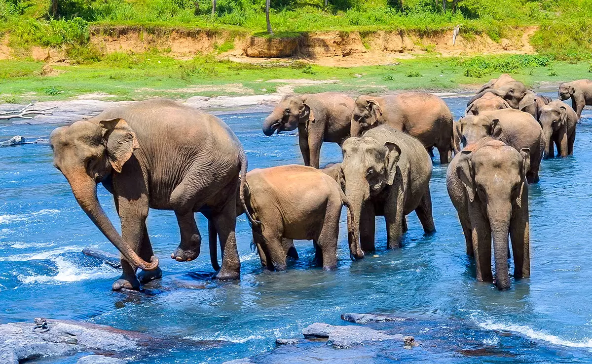 Sri Lanka