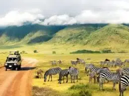 Tanzania